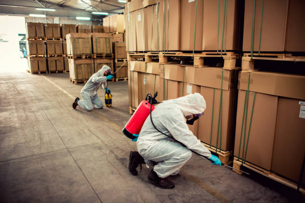 Best Pest Removal Services  in Miami Gardens, FL