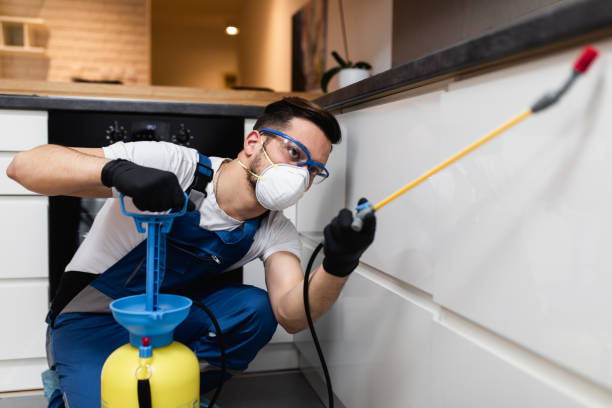 Best Affordable Pest Control Services  in Miami Gardens, FL
